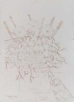 img/Fiori parlanti-1/Il fiore puro.jpg
